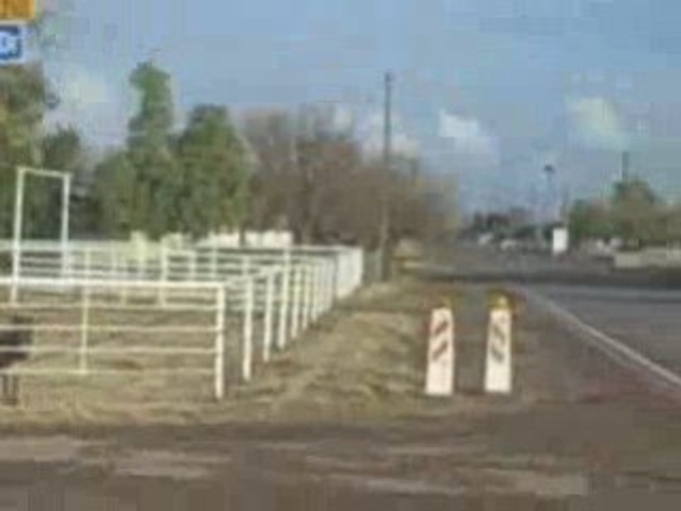 Having fun horse back riding enjoying the beautiful weather