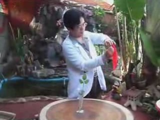 SILK MAGIC by Dr. Gertes