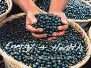 Where Can I Get Acai? I paid $5 and lost 44 pounds fast!
