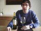 Video Blog #16 - A Spanish Albarino from Curiouswines.ie