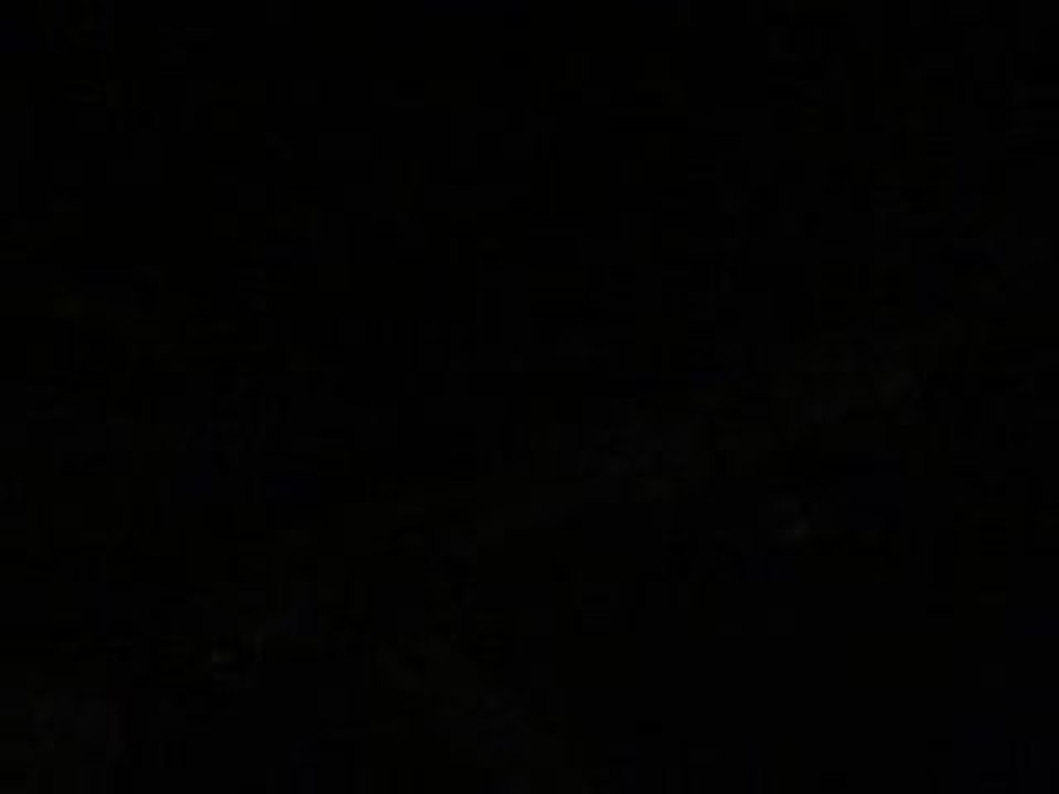 Honda CB Hornet 600 2001 pot scorpion