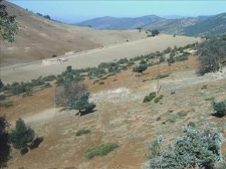 Elmane_mar     you raise me up