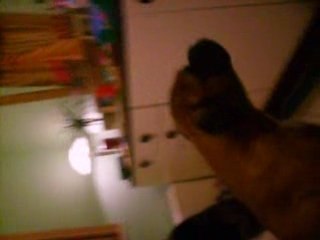 rasel boxer qui n aime pas le telephone