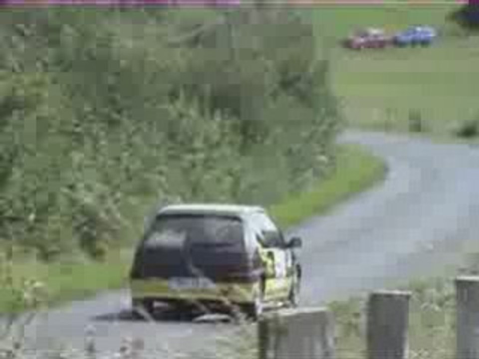 coppens, bernardi, rallye du pays basque 2008
