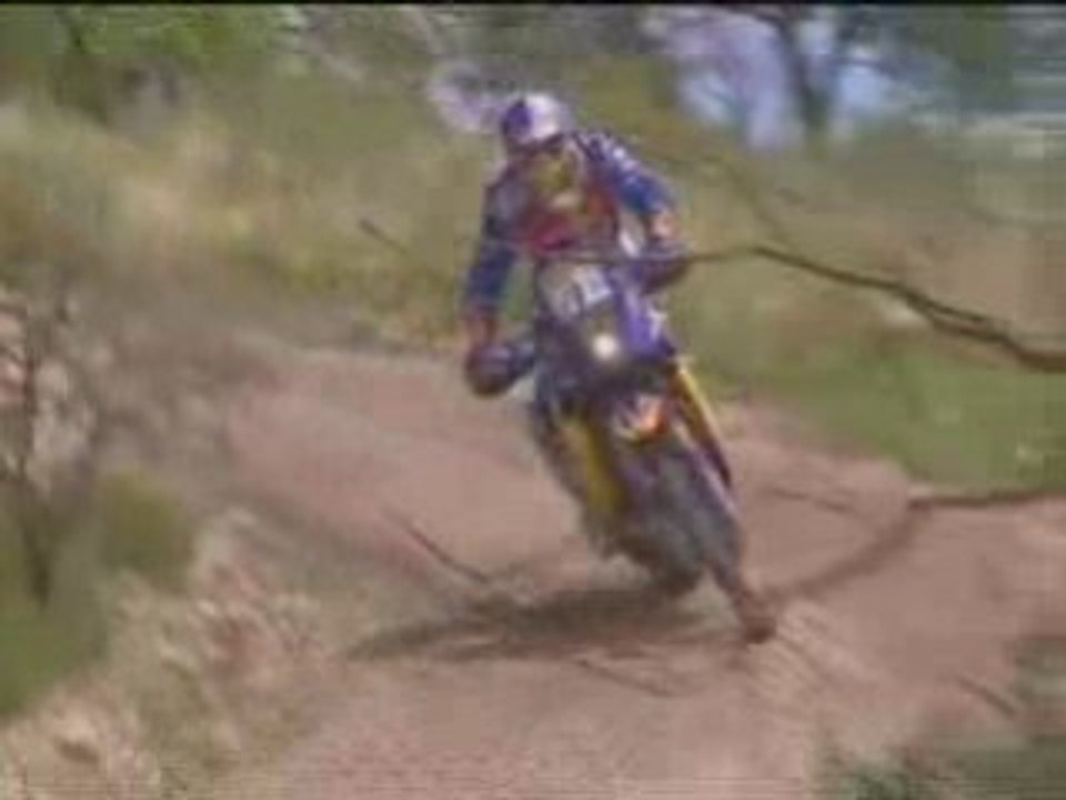 Dakar rally 2009 stage 13 summary spa