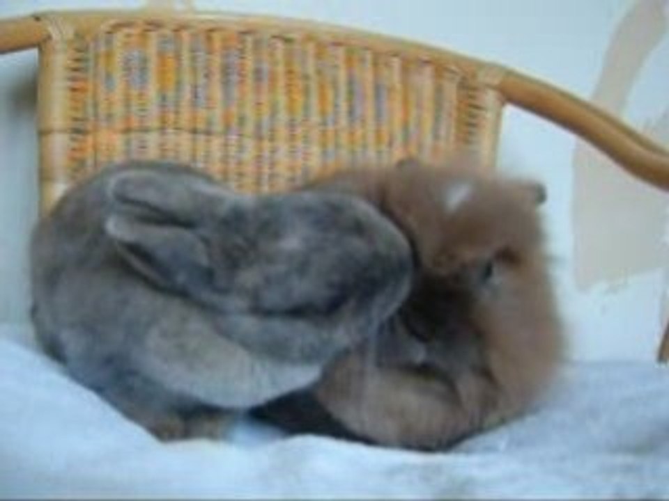 Cerise et Capucci