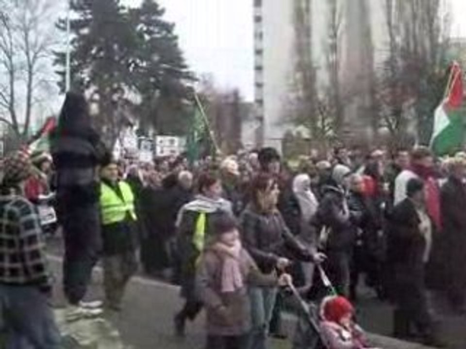 peuple francais manifestation pour gaza a mulhouse 68