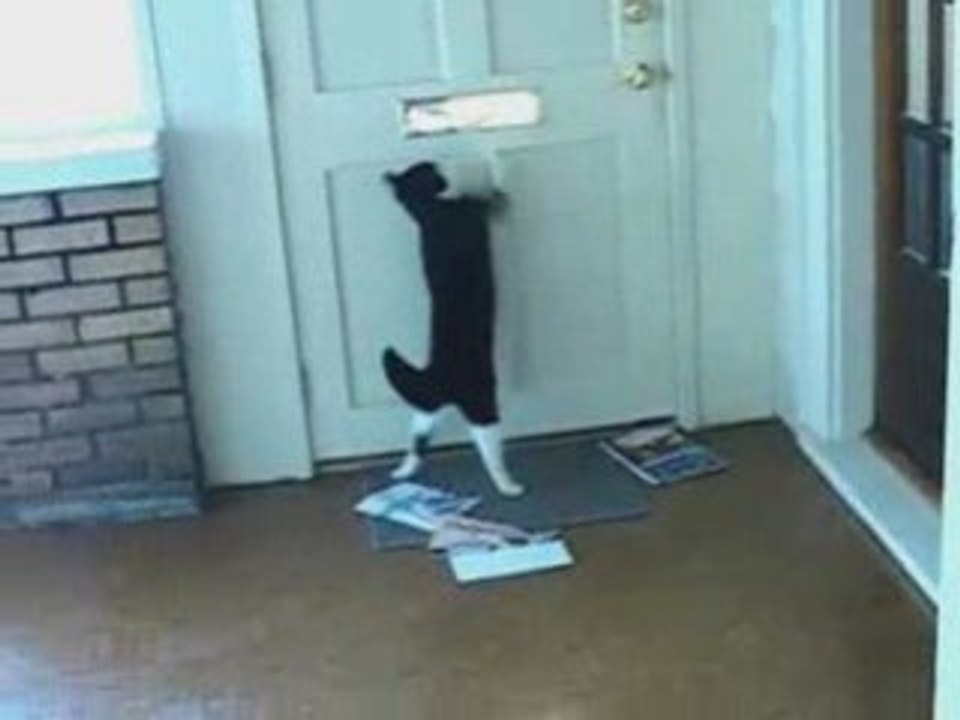 attention au courrier