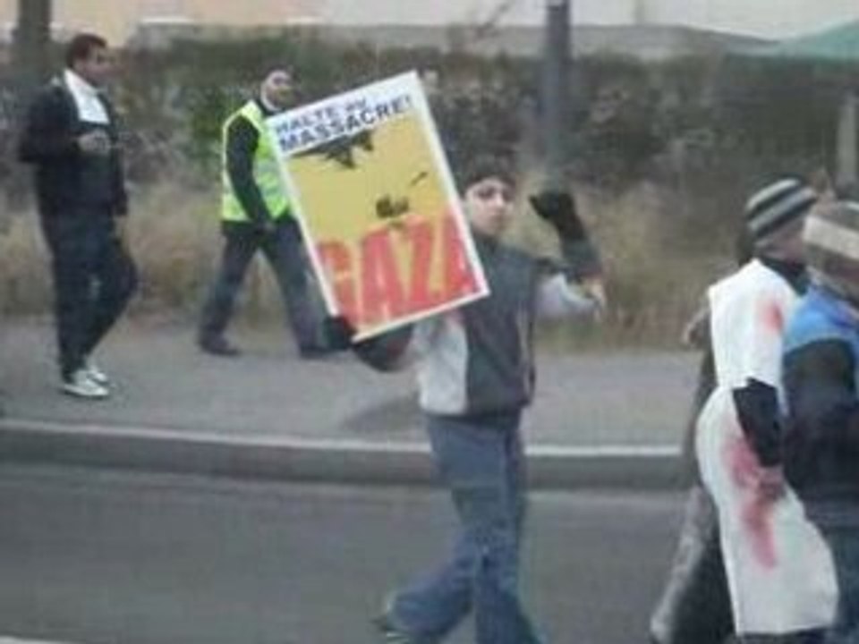 manifestation  a mulhouse pour gaza