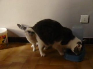 Dudulle et Choupette, sa préférée