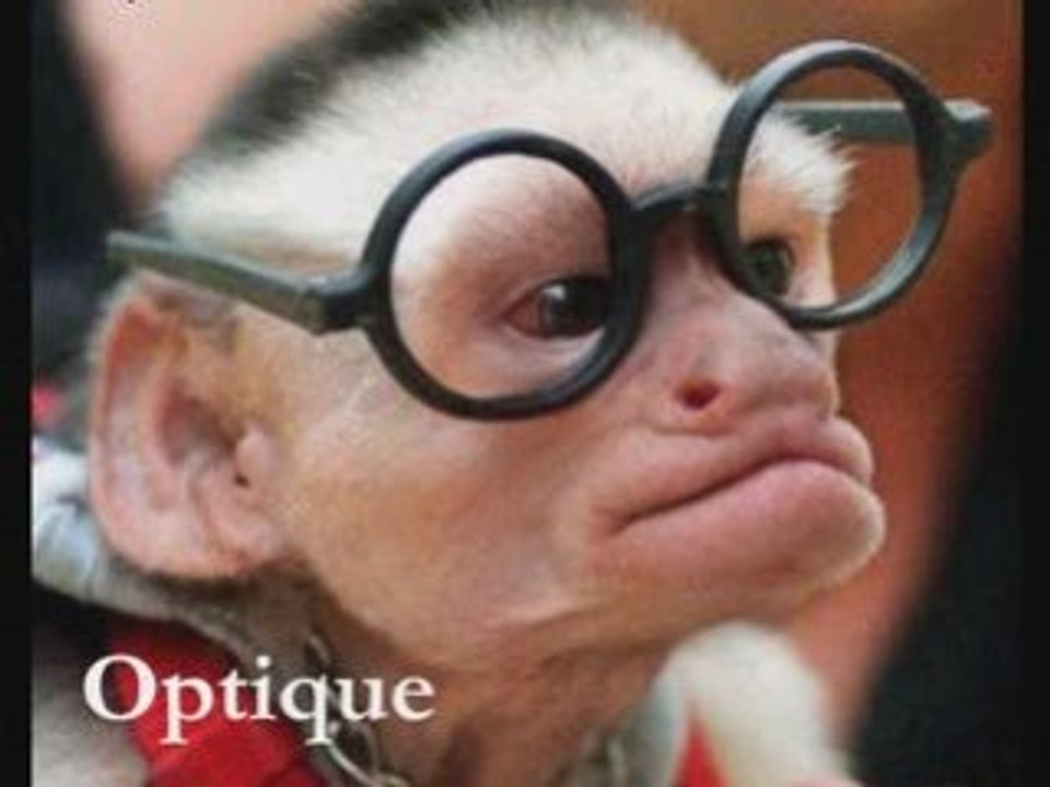 Enseignes Rouennaises (2)