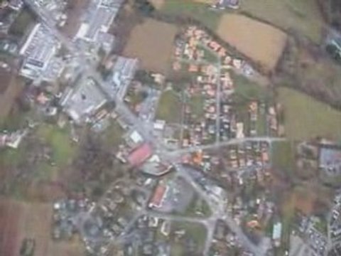 David avec les libellules en délire