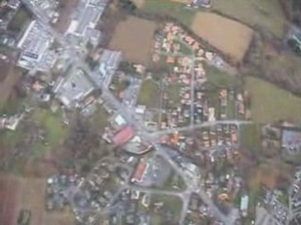 David avec les libellules en délire