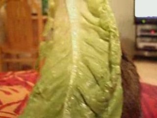 qui mange qui ?