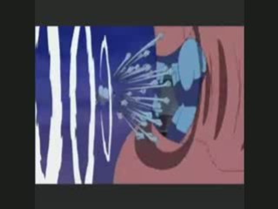 one piece amv
