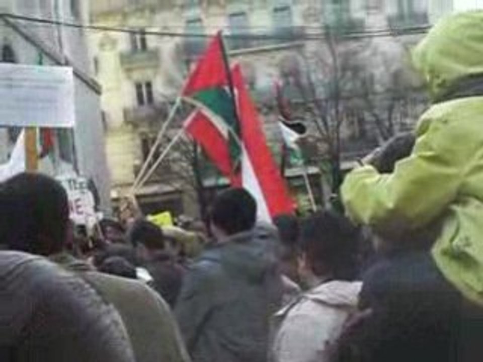 Manif  Palestine A Grenoble