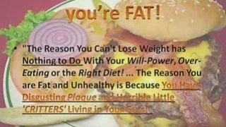 Stop Being Fat, it's Not Your Fault!