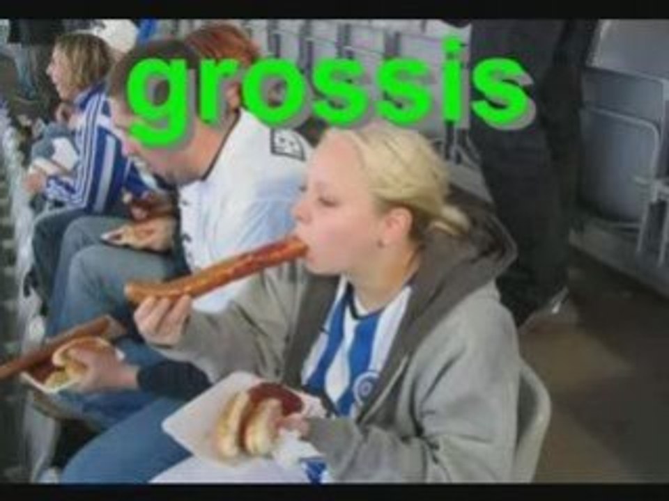 REPTILIENS  10 commandements