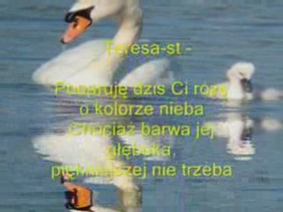 Zostań ze mną