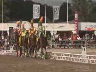 Carrousel Lamotte 2008 - CE de Goumat