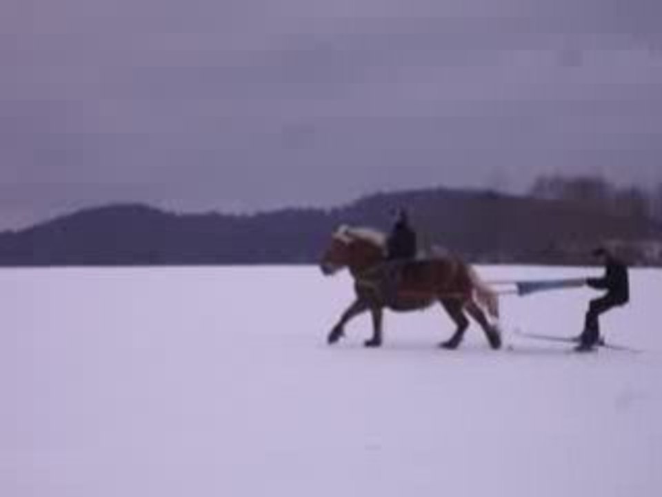 skijoering Maiche3