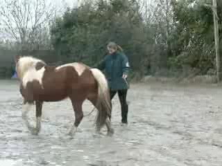 Reve - Longe et aspiration des hanches - 17 01 09