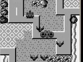 [Supervision] Jaguar Bomber