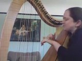 harpe celtique: Si Bheag Si Mhor