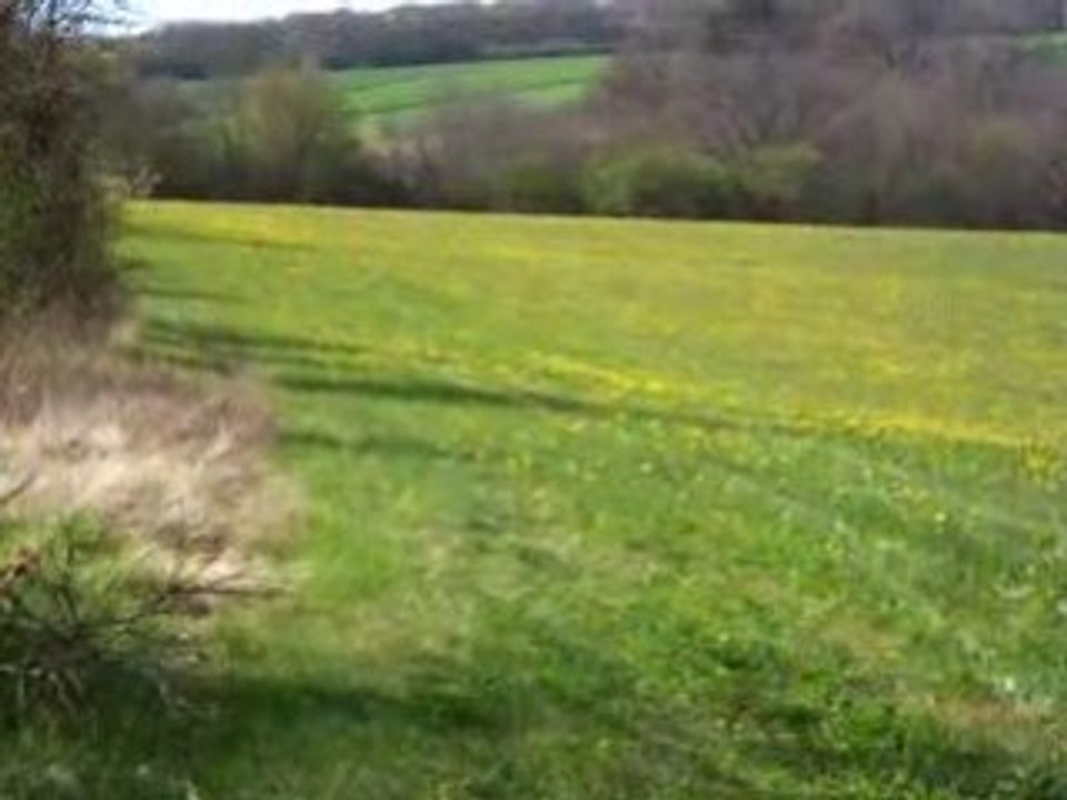 KXF 250 2005 EN ROUE