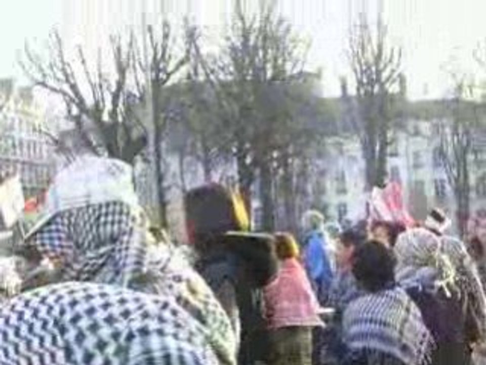 manifestation palestine gaza lyon 17 janvier 2009