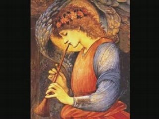 SOLITUDINE (RITA CÉLIA DINI)