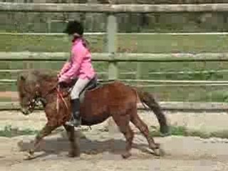 ma soeur et éclat au galop