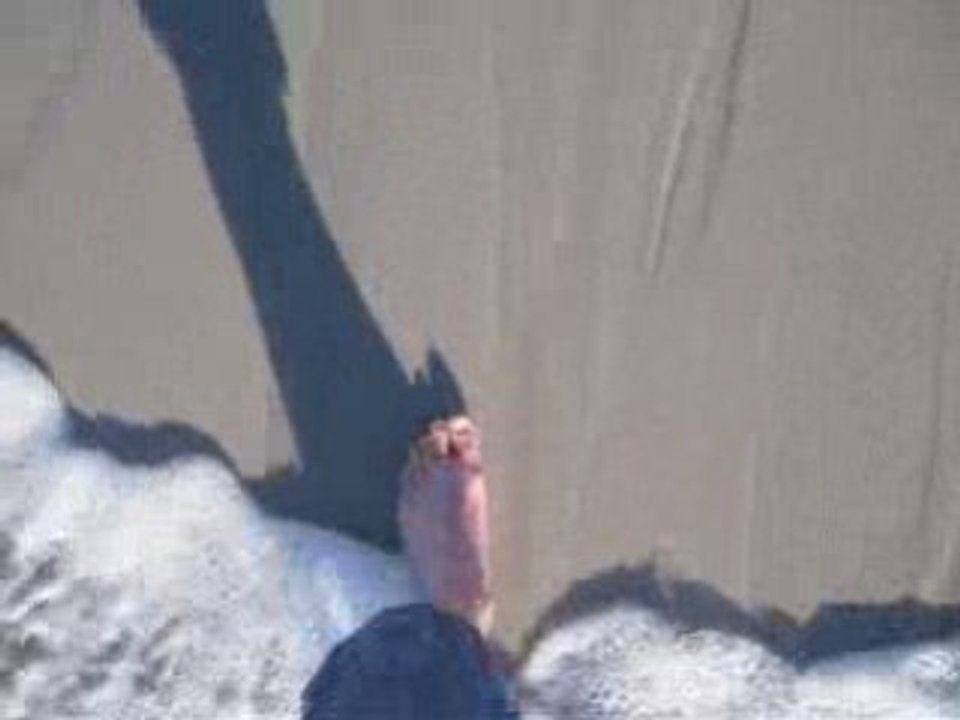 2009-01-17 - Logitech beach