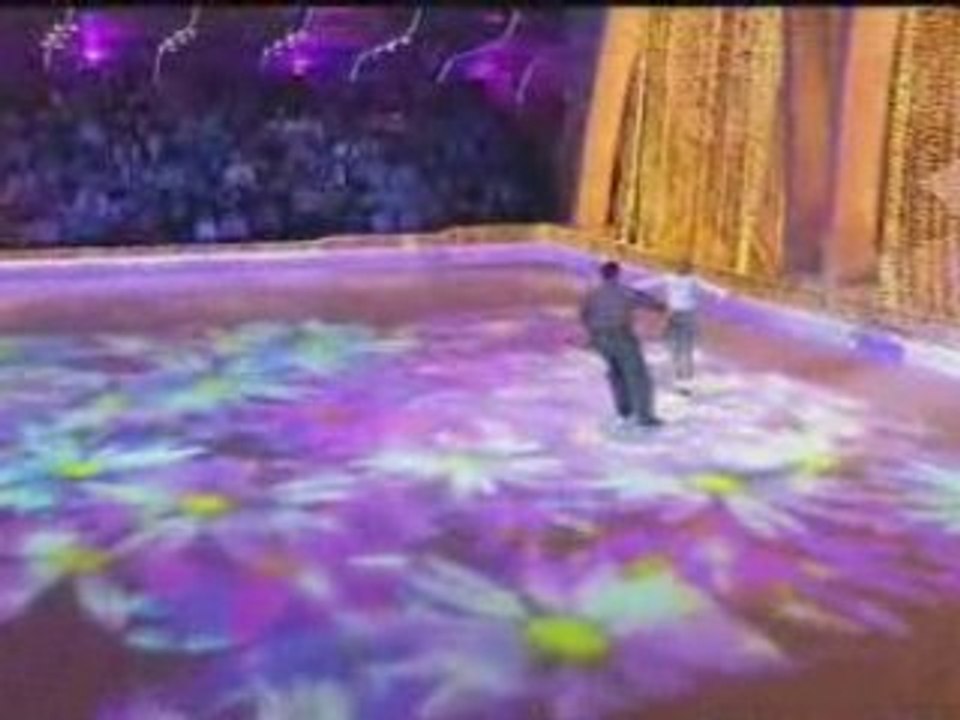 2008 Ice Age E16 Tchaikovsky