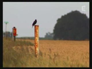 [ Tornades, au coeur du danger 3/3