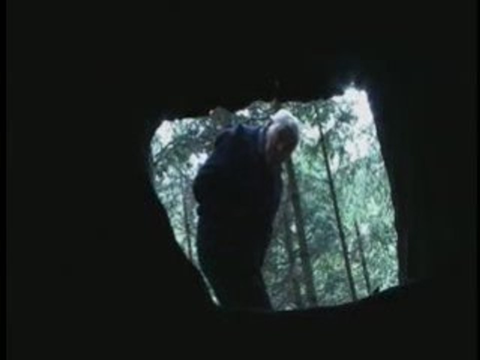 La grotte à Maurice