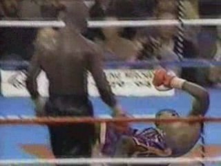 The Punchers: Middleweights