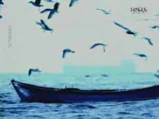 Sezen Aksu   Tutuklu