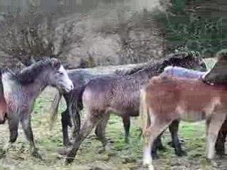 Ruby en forme ce matin