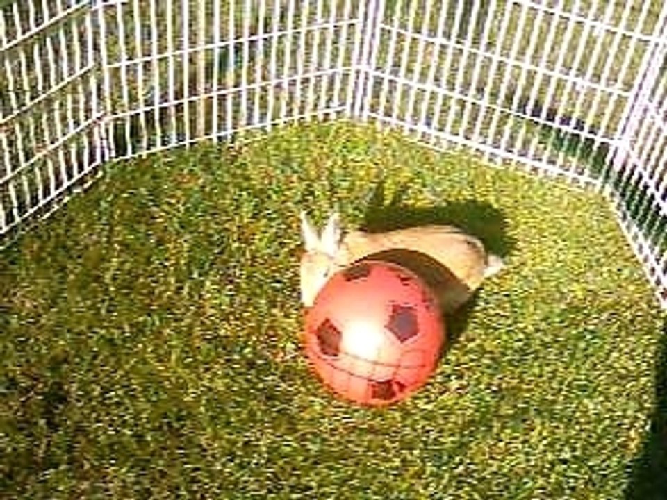 Romain et le foot