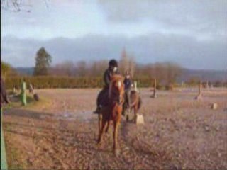 Charlotte poney