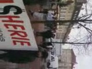 manif pour la palestine a luneville