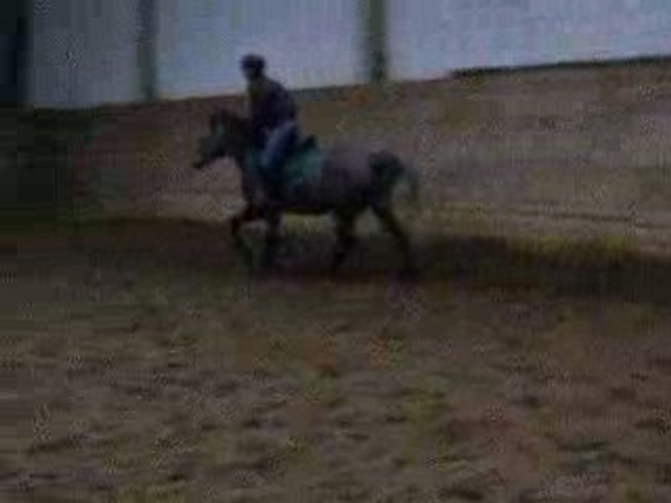 Romgalop2
