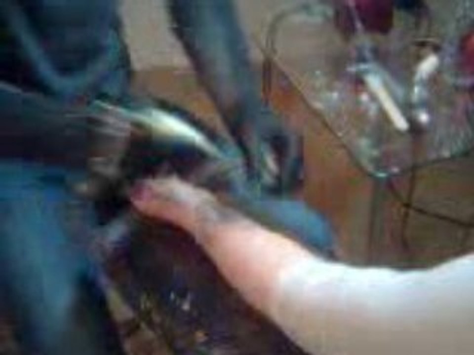 TATOUAGE POIGNET  A CAVAILLON BLACK ANGEL