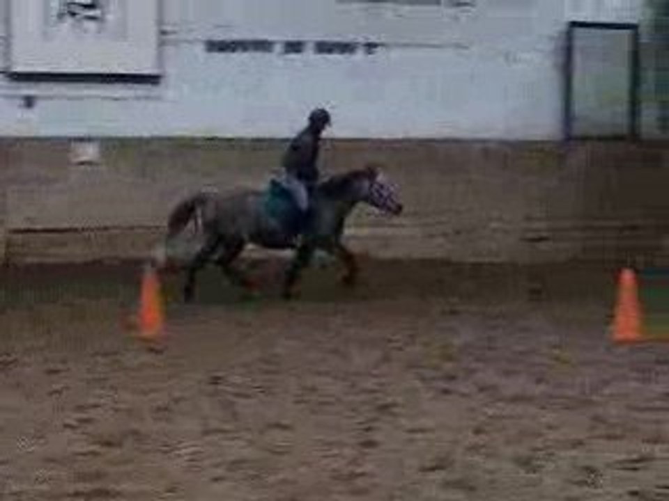 Romtrot1