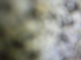 bw's kiter 70 stage6