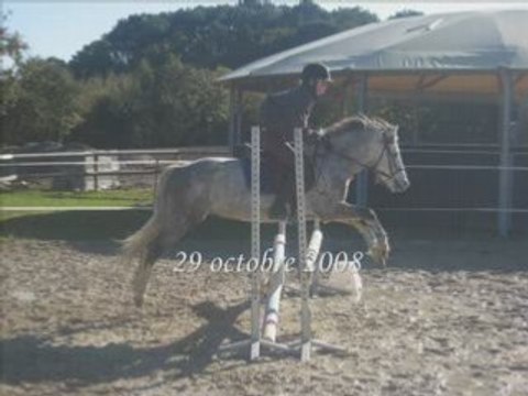 Lann Er Roch 29 octobre 2008 Manue & Loulou