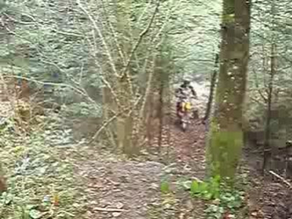 Petite grimpette en sortie de ruisseau