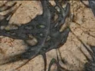 White Pulp - Blackout - The visual fx edit