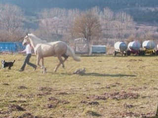 Séance de saut Mars 2007